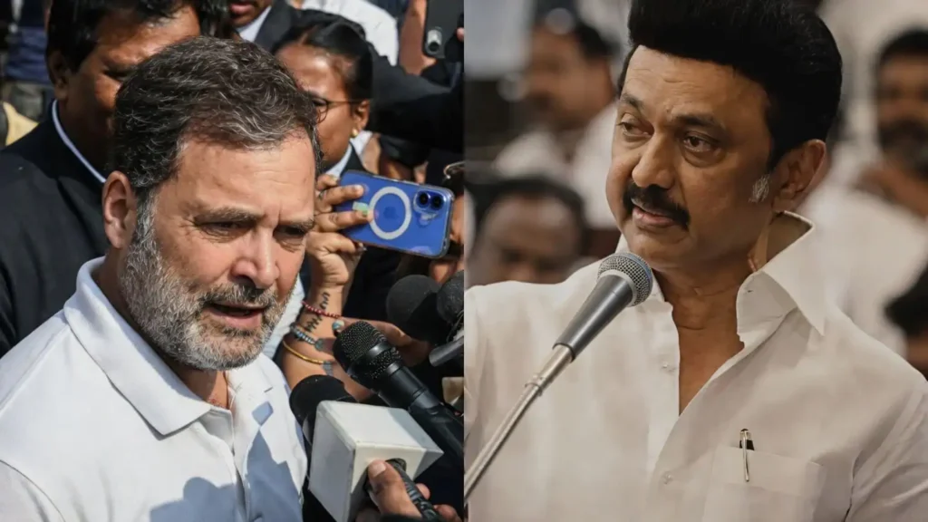 DMK IT Wing Targets Rahul Gandhi
