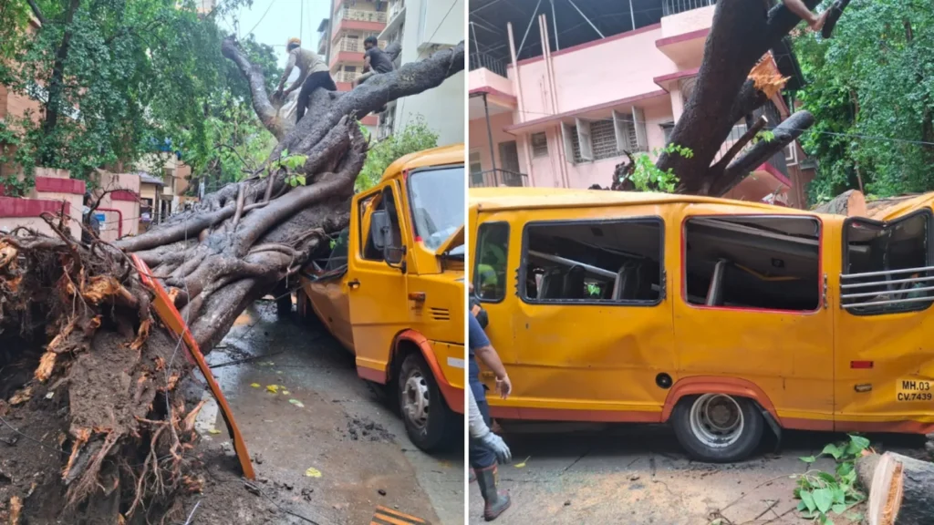 A damaged yellow school bus in Mumbai after a large roadside tree fell on it during heavy monsoon rains, with emergency responders at the scene.