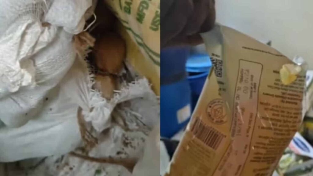 “‘Extremely Unhygienic’ Conditions Found”
